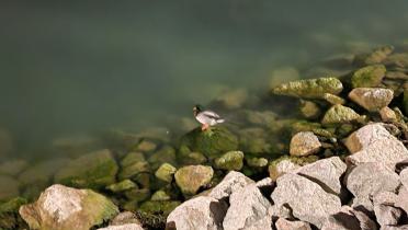 20221015_205520_birgit
